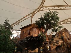 -杭州开元森泊度假乐园