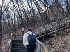 -帽儿山国家森林公园