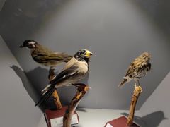 -房山世界地质公园博物馆