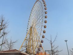 -国色天乡三期陆地乐园