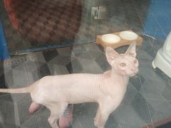 -泉乐坊步行街(烟酒特产平价超市店)