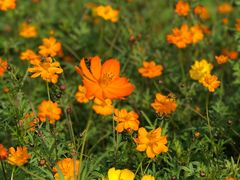 -汉长安城未央宫国家考古遗址公园