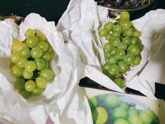 -马陆小张葡萄园农家乐