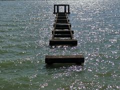 -贡湖湾湿地公园
