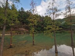 -广州白江湖森林公园