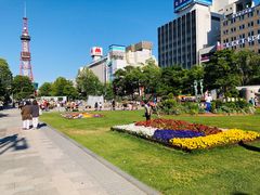 -札幌电视塔