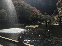 景点&nbsp;红崖湖-少华山国家森林公园