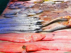 -天津金元宝滨海农产品交易市场(共发大道)