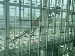 -吉林省自然博物馆