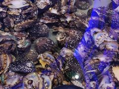 -澜悦港海鲜体验主题餐厅