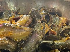 -金海椒罐罐鲢鱼(东方桂苑店)