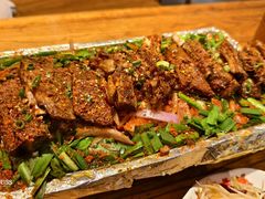 -福苗小骆驼烧烤(莲湖路店)