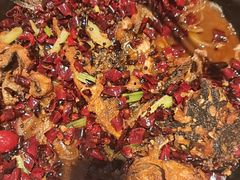 -老板恋上鱼(恒隆广场店)