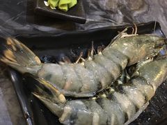 -熊出没日本烧肉放题