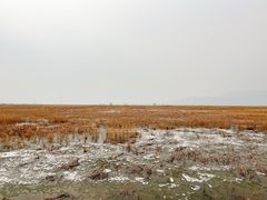 -野鸭湖国家湿地公园