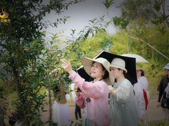 -汉艺唐风茶艺培训(联发华美空间店)