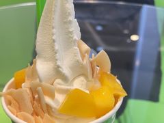-Salud撒露欧洲冻酸奶(蓝色港湾店)