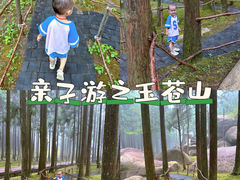 -玉苍山国家森林公园