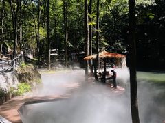 -牛背梁国家森林公园