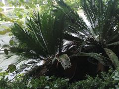 -贵御温泉