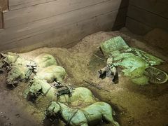 -秦始皇帝陵博物院-丽山园