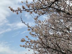 -苏州上方山国家森林公园