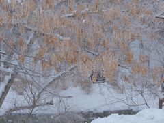 -水磨沟公园