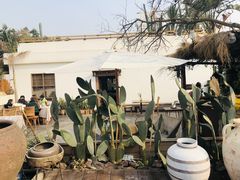 -悦哉·派对·草坪婚礼·围炉煮茶(三圣乡店)