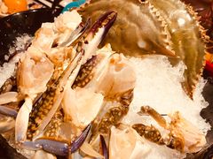 -尚海豆捞(乐虹坊店)