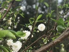 -南国桃园旅游度假区