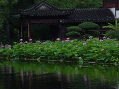 -南园(太仓市)