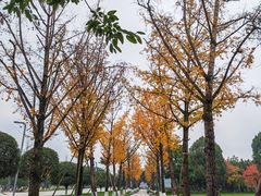 -重庆中央公园(渝北区)