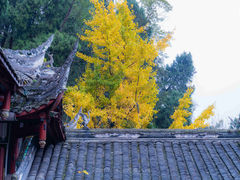 -都江堰普照寺