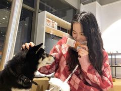 -柴务处·柴犬主题狗咖