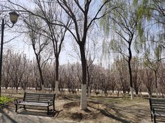 -永定河休闲森林公园