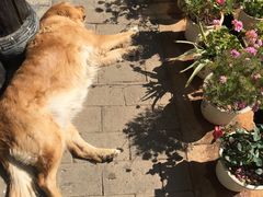 -浔岚云舍mist静谧观景美宿(丽江古城店)