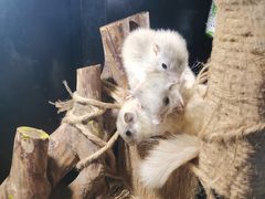 -太平洋海底世界