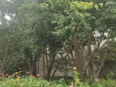 -青岛鑫江温德姆酒店