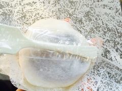 檬舒舒(久光百货店)-檬舒舒MonChouChou(久光百货店)
