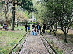 -武汉大学-樱园