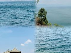 -月亮湾湿地公园