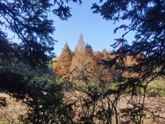 -东白山