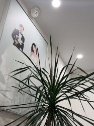 -北遇映画PHOTO GRAPHY STUDIO