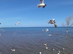 -青海湖二郎剑景区