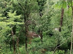-青龙山国家森林公园