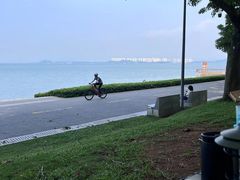 -深圳湾公园(南山区)