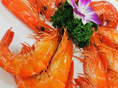 白灼九节虾-蚝专家(北滘店)