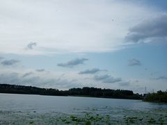 -丁香湖公园