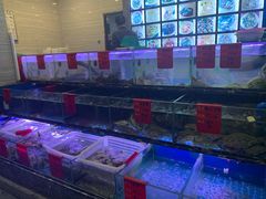 水产区-金海湾海鲜排档(朱家尖店)