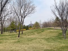 -北坞公园